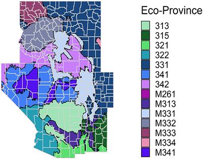 GREGORY: A Modified Generalized Regression Estimator Approach to Estimating Forest Attributes in the Interior Western US